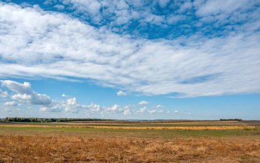 Önplanda sarı ölü çimenler, ufukta mavi gökyüzünün altında bulutlar
