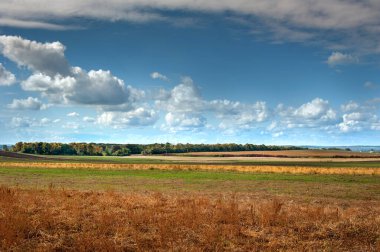 Sarı çimenler, ölü ve kirli sakallar, esnemeler, mavi gökyüzünün altında bulutlu alanlar.