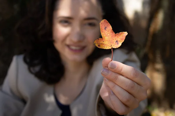 Bir elinde sonbahar yaprağı tutarken gülümseyen bir kadın. Sonbahar sezonu ve çevresel kaygılar, botanik ve çevre koruma için ideal. Önplana odaklan.