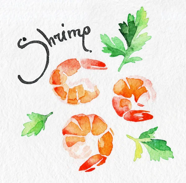 Shrimp, prawn. Seafood, rosemary, greens, parsley. Watercolor hand drawing. Food, vegetables and fruit isolated on white background. Book illustration, recipe, menu, magazine or journal article.