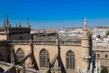 Cathedral la giralda Seville İspanya, arka plan mimari .