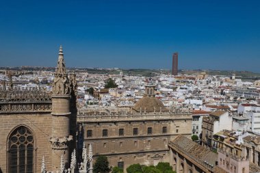 Cathedral la giralda Seville İspanya, arka plan mimari .