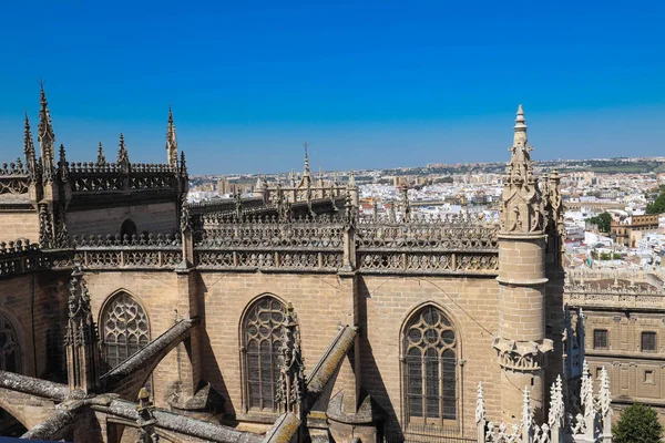 Cathedral la giralda Seville İspanya, arka plan mimari .