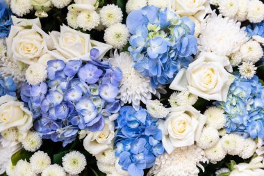 Arka plan için renkli çiçek kullanımı