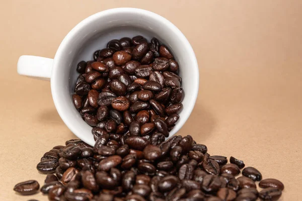 Roasted Coffee Beans White Cup — Stock Photo, Image