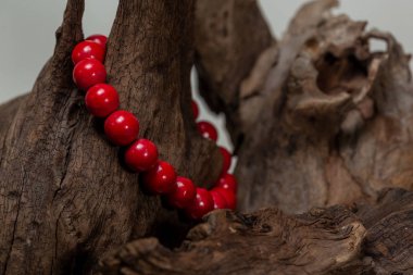 The red jasper Stone Bracelet on stump wood clipart