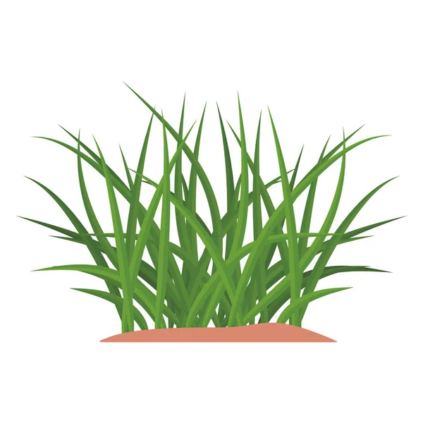 Manojos de hierba verde en un montículo de tierra . — Vector de stock