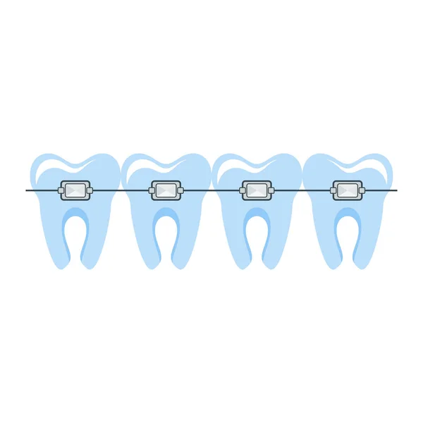 健康整洁的牙齿在大括号。牙科和口腔护理 — 图库矢量图片
