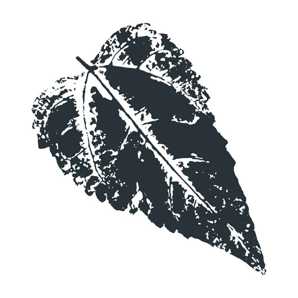 Tirage vectoriel. Feuilles imprimées des arbres sur papier — Image vectorielle