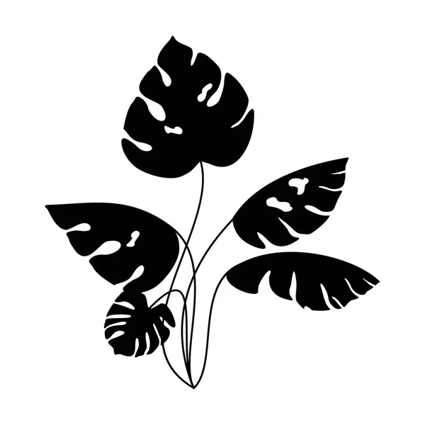 Empreintes de feuilles de monstère. Silhouettes d'une feuille noire d'une plante . — Image vectorielle