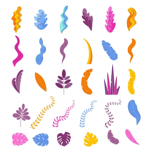 Colección de hojas de plantas tropicales exóticas — Vector de stock