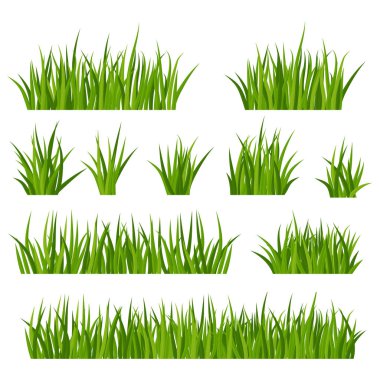 Bunches of green grass on meadow or lawn. clipart