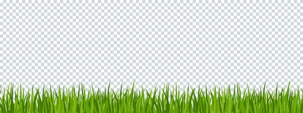 Fronteira de grama verde em fundo transparente. Modelo para cartões de verão . — Vetor de Stock