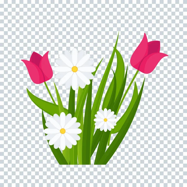 Sedmikrásky a tulipány v zelené trávě na průhledném pozadí — Stockový vektor