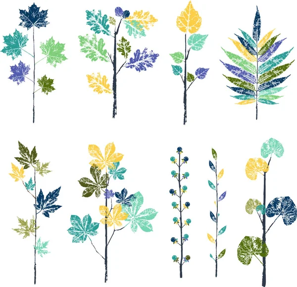 Huellas de hojas, flores y ramas de otoño . — Vector de stock