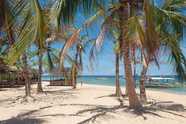 Luli Adası 'nda palmiye ile Sunny Beach, Honda Bay, Palawan, Filipinler