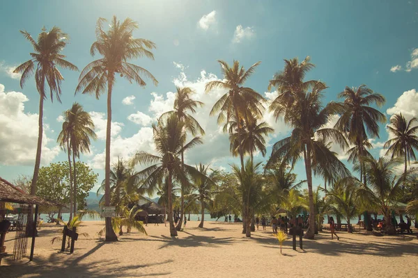 Сонячний Берег Долонями Острові Лулі Honda Bay Палаван Філіппіни — стокове фото