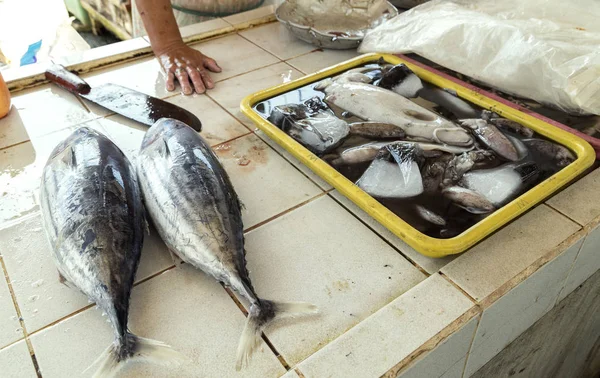 Fresh tuna fish on the seafood market