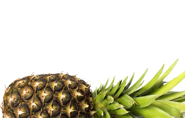 Isolierte Ananas Auf Weißem Hintergrund — Stockfoto