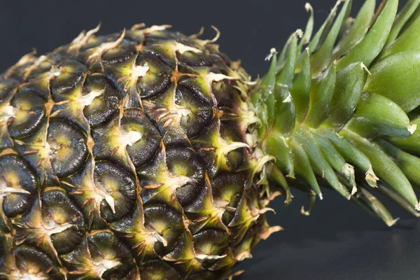 Pineapple Template Black Background — Stock Photo, Image