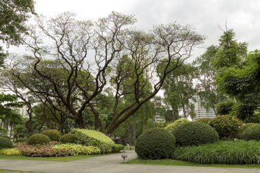 Makati yeşil park, Philippiines