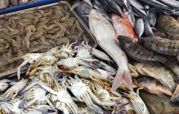 Fresh street seafood market close up: shrimps, crabs and fish