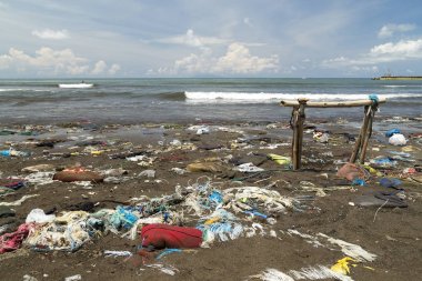  Manila Körfezi kıyısında okyanus deniz plastik kirliliği
