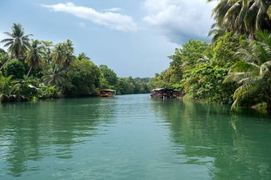 Bohol, Filipinler - 20 Haziran 2019: Loboc Nehri'nde yüzen açık büfe reastaurant gezisi
