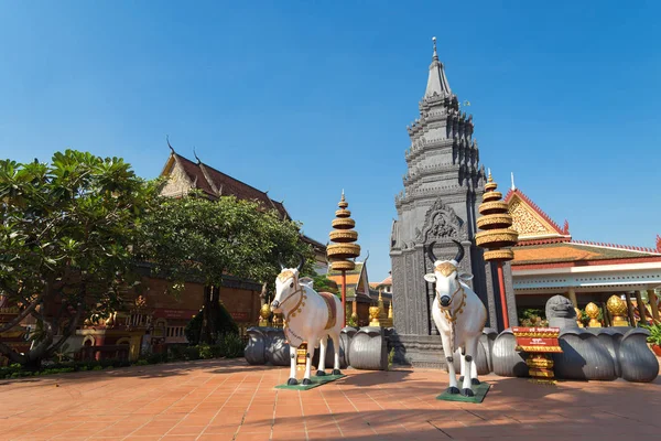 Siem Reap Camboja Fevereiro 2017 Esculturas Vacas Sagradas Templo Budista — Fotografia de Stock