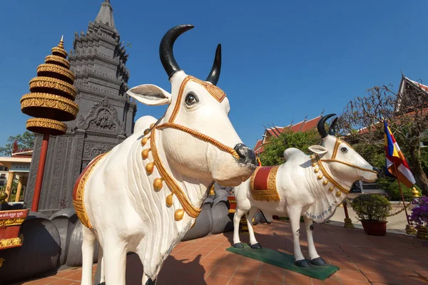 Siem Reap Camboja Fevereiro 2017 Esculturas Vacas Sagradas Templo Budista — Fotografia de Stock