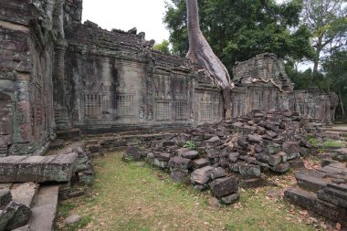 Kamboçya 'daki Angkor Wat Tapınağı kalıntıları
