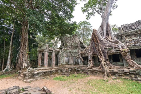 Sceniska Ruiner Angkor Wat Temple Komplex Kambodja — Stockfoto