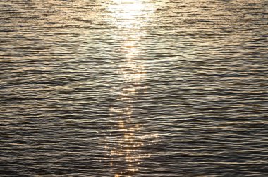 Dünyanın güzelliği