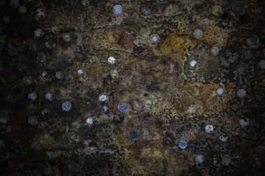 Eski şarap mahzeni yapıştırılmış paralar ile duvara