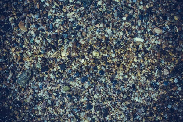 Farbige Steine Und Muscheln Strand — Stockfoto