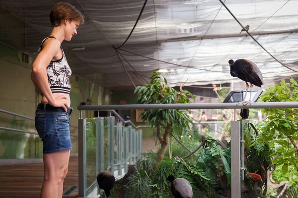 Женщина Фотографирует Птиц Зоопарке Своего Смартфона — стоковое фото
