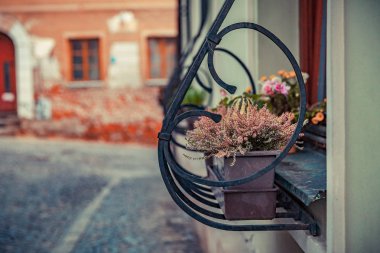 Çek Cumhuriyeti Olomouc şehir Noel pazarları için hazırlanıyor