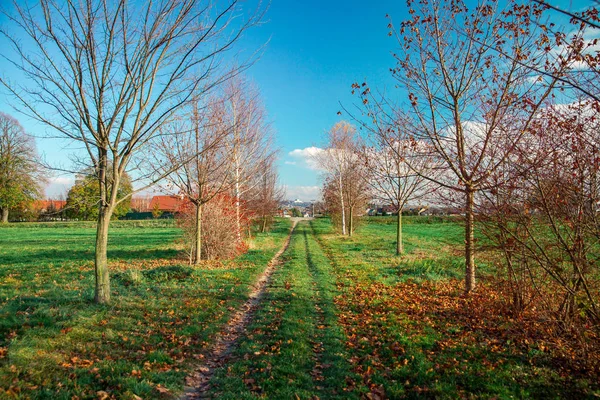 Caminho no prado verde whith cores do outono — Fotografia de Stock