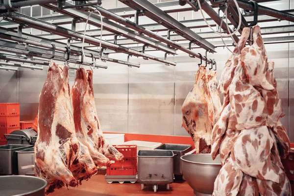 Produção de produtos à base de carne no supermercado do supermercado. Em seguida, a distribuição de produtos acabados para a loja de lojas para os clientes. Salsicha, rolo de carne, patê  ... — Fotografia de Stock