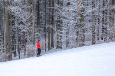 Ormana yakın bir dinlenme bölgesinde kış sahnesi. Banklar ve Snowmen, orman yolu