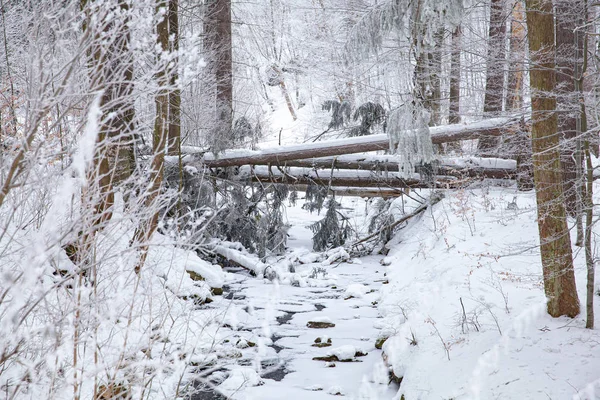 Escena de invierno en una zona de descanso cerca de un bosque. Bancos y muñecos de nieve, camino forestal — Foto de Stock