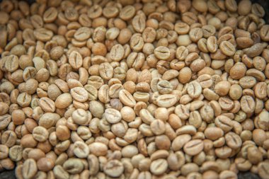 kavrulmuş kahve çekirdekleri. yüksek kaliteli içecekler yapmaya hazırdır. Espresso, latte veya cappuccino gibi