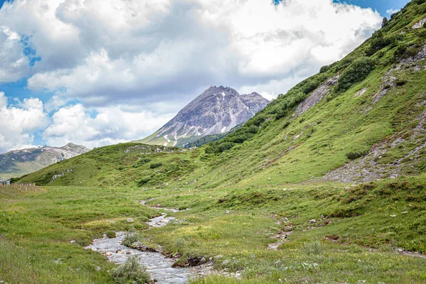 Paisagem de montanha no verão nos Alpes. para relaxamento e turismo com a possibilidade de ver vacas nos prados — Fotografia de Stock