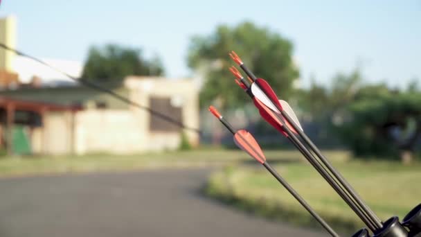 Archery as a sport discipline run in the hall and in the nature. Competition for the best shot an arrow into targets — Stock Video