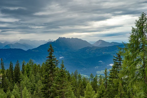 Piękna przyroda Alp Austriackich latem. Widoki na jezioro, schroniska górskie i krowy na łąkach — Zdjęcie stockowe