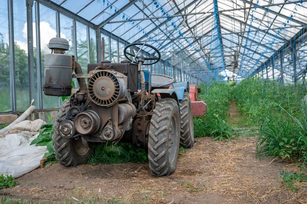 Pequeño tractor viejo para trabajar en el campo en una granja orgánica — Foto de Stock
