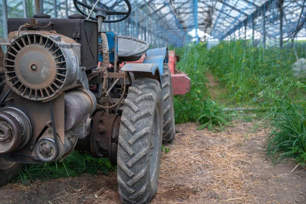 Organik bir çiftlikteki tarlada çalışmak için eski bir traktör. — Stok fotoğraf