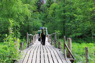 olan iki turist sırt çantaları ile karışık bir iğne yapraklı orman ahşap bir köprü. Leningrad Region, Rusya Federasyonu