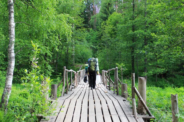 あるバックパックと つの観光客混合針葉樹林における木造の橋 ロシア レニングラード州 — ストック写真