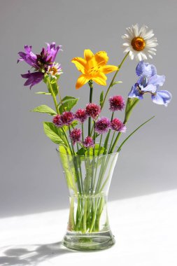 farklı vahşi alan ve Bahçe çiçek bir buket: papatya, çan, lily, frenk soğanı, Iris.